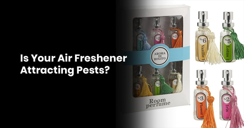 Is Your Air Freshener Attracting Pests?
