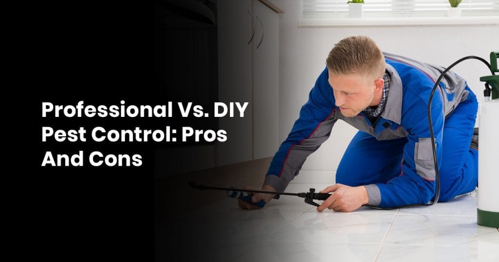 Professional Vs DIY Pest Control Pros And Cons